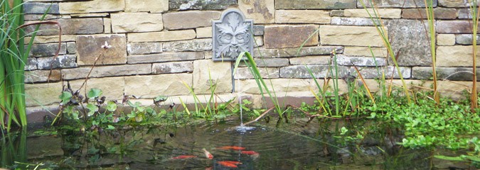 Garden pond